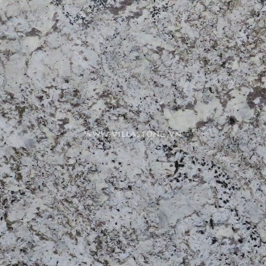 Savannah White Granite